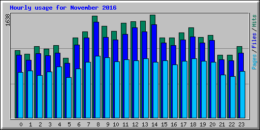 Hourly usage for November 2016