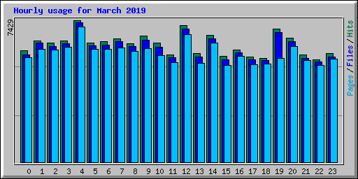 Hourly usage for March 2019