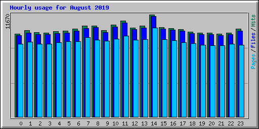 Hourly usage for August 2019
