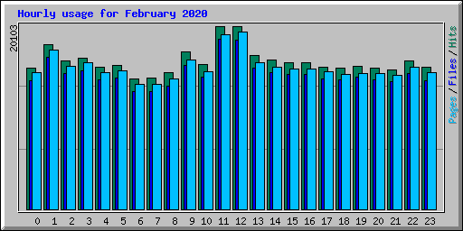 Hourly usage for February 2020